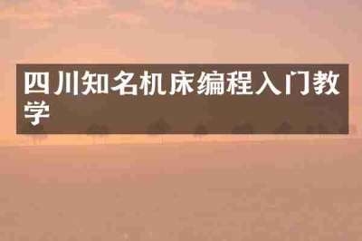 四川知名机床编程入门教学