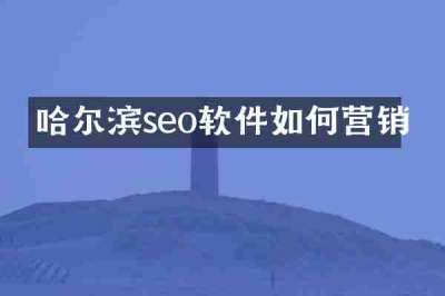 哈尔滨seo软件如何营销
