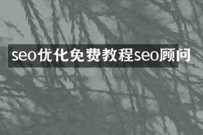 seo优化免费教程seo顾问