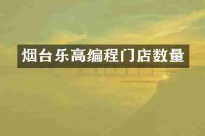 烟台乐高编程门店数量