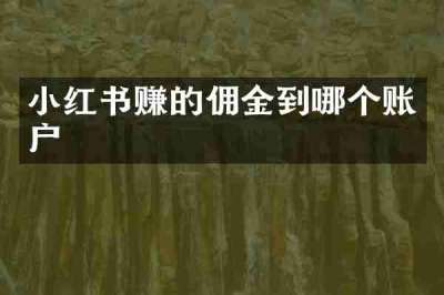 小红书赚的佣金到哪个账户
