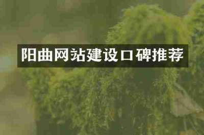 阳曲网站建设口碑推荐