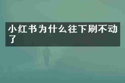 小红书为什么往下刷不动了