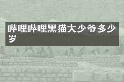 哔哩哔哩黑猫大少爷多少岁