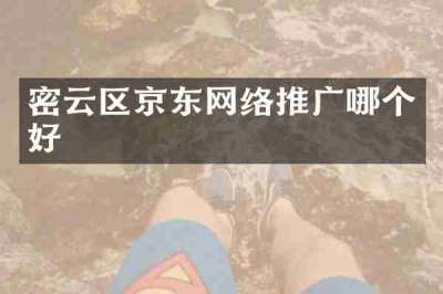 密云区京东网络推广哪个好