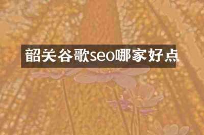 韶关谷歌seo哪家好点