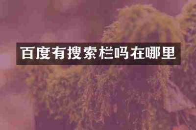 百度有搜索栏吗在哪里