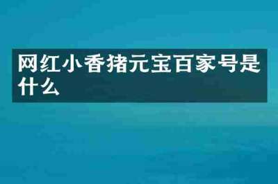 网红小香猪元宝百家号是什么