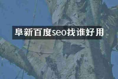 阜新百度seo找谁好用