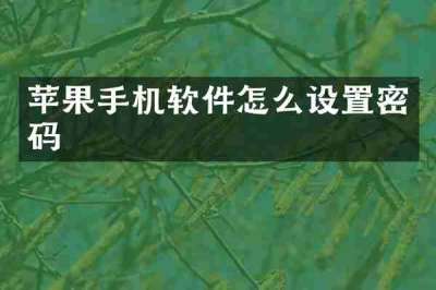 苹果手机软件怎么设置密码