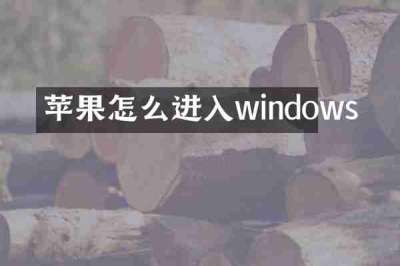 苹果怎么进入windows
