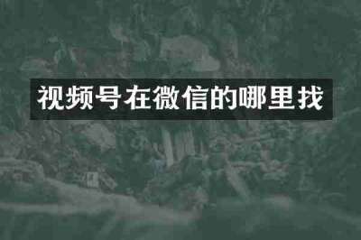 视频号在微信的哪里找