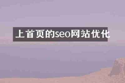 上首页的seo网站优化