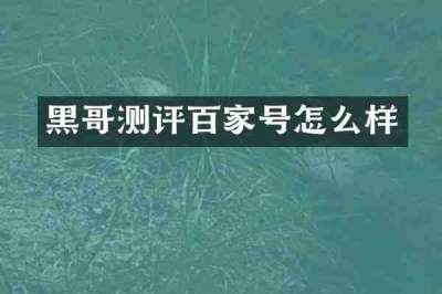 黑哥测评百家号怎么样