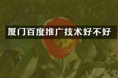 厦门百度推广技术好不好