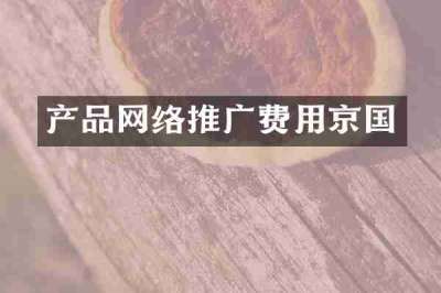 产品网络推广费用京国