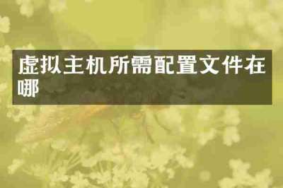虚拟主机所需配置文件在哪