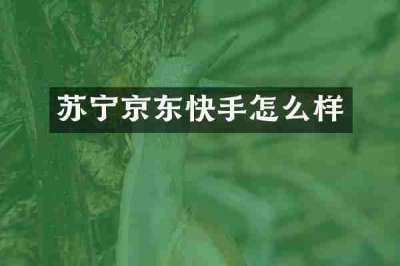 苏宁京东快手怎么样