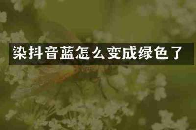 染抖音蓝怎么变成绿色了