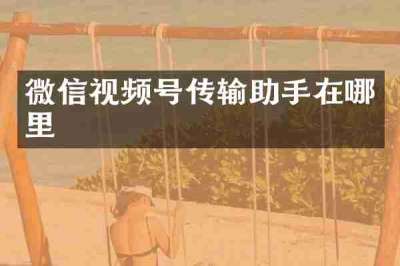 微信视频号传输助手在哪里