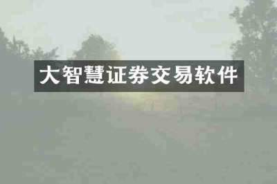 大智慧证券交易软件