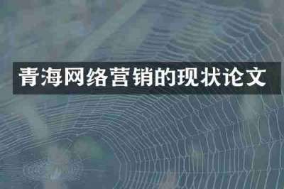 青海网络营销的现状论文