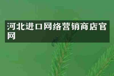 河北进口网络营销商店官网