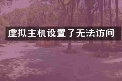 虚拟主机设置了无法访问