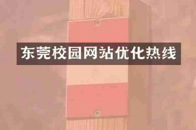 东莞校园网站优化热线