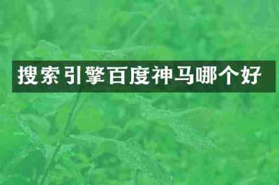 搜索引擎百度神马哪个好
