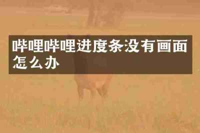 哔哩哔哩进度条没有画面怎么办