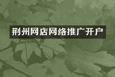 荆州网店网络推广开户