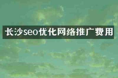 长沙seo优化网络推广费用