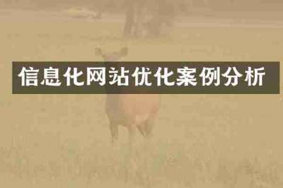 信息化网站优化案例分析