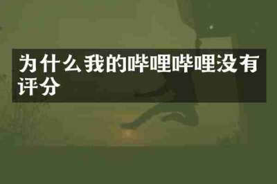 为什么我的哔哩哔哩没有评分