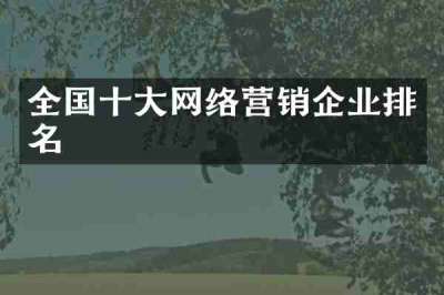 全国十大网络营销企业排名