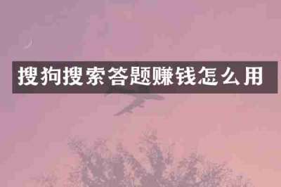 搜狗搜索答题赚钱怎么用