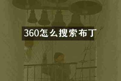 360怎么搜索布丁