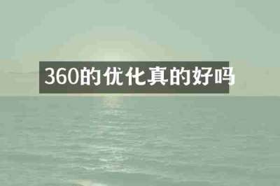 360的优化真的好吗