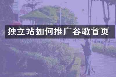 独立站如何推广谷歌首页