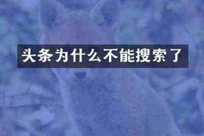 头条为什么不能搜索了