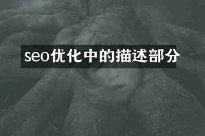 seo优化中的描述部分
