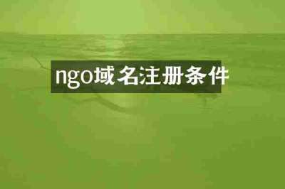 ngo域名注册条件