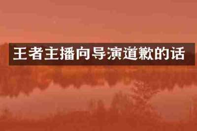 王者主播向导演道歉的话