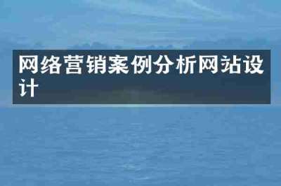 网络营销案例分析网站设计