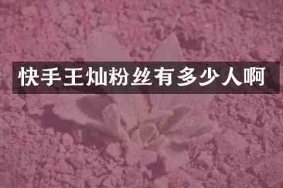 快手王灿粉丝有多少人啊