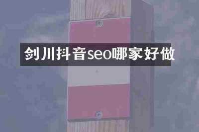 剑川抖音seo哪家好做