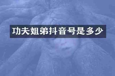 功夫姐弟抖音号是多少