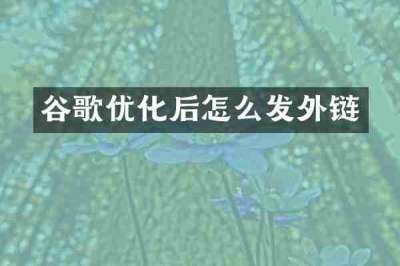 谷歌优化后怎么发外链