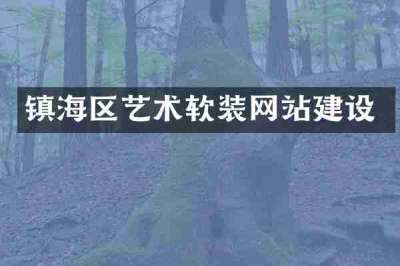 镇海区艺术软装网站建设